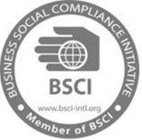 THE BUSINESS SOCIAL COMPLIANCE INITIATIVE (BSCI)